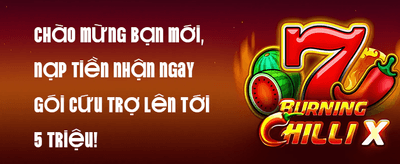 Quà Tặng Tri Ân promotion